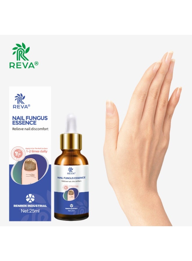 ريفا محلول ريفا لعلاج فطريات الأظافر ومضاد للبكتيريا: إصلاح احترافي موجه، اختراق عميق، يحسن مشاكل فطريات الأظافر (30 مل) - Image 2